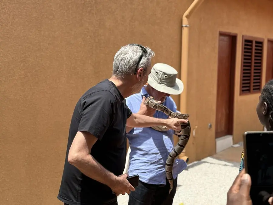 Deux visiteurs manipulent un python royal lors d’une visite guidée à Ouidah.