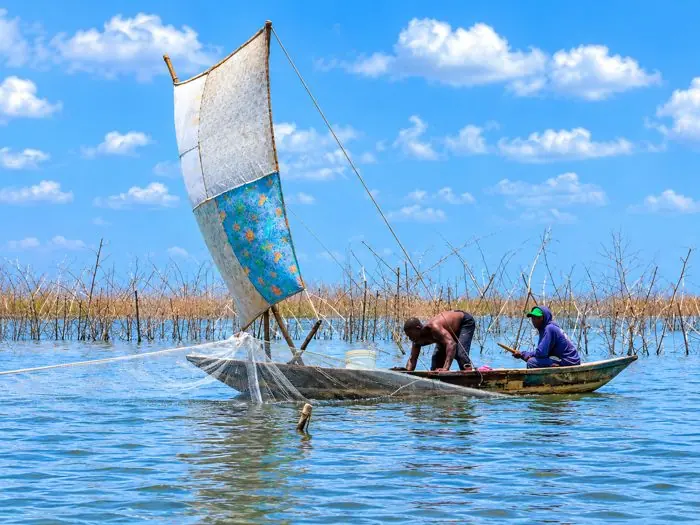 Pêcheurs relevant un filet depuis une pirogue à voile sur le lac Nokoué à Ganvié.