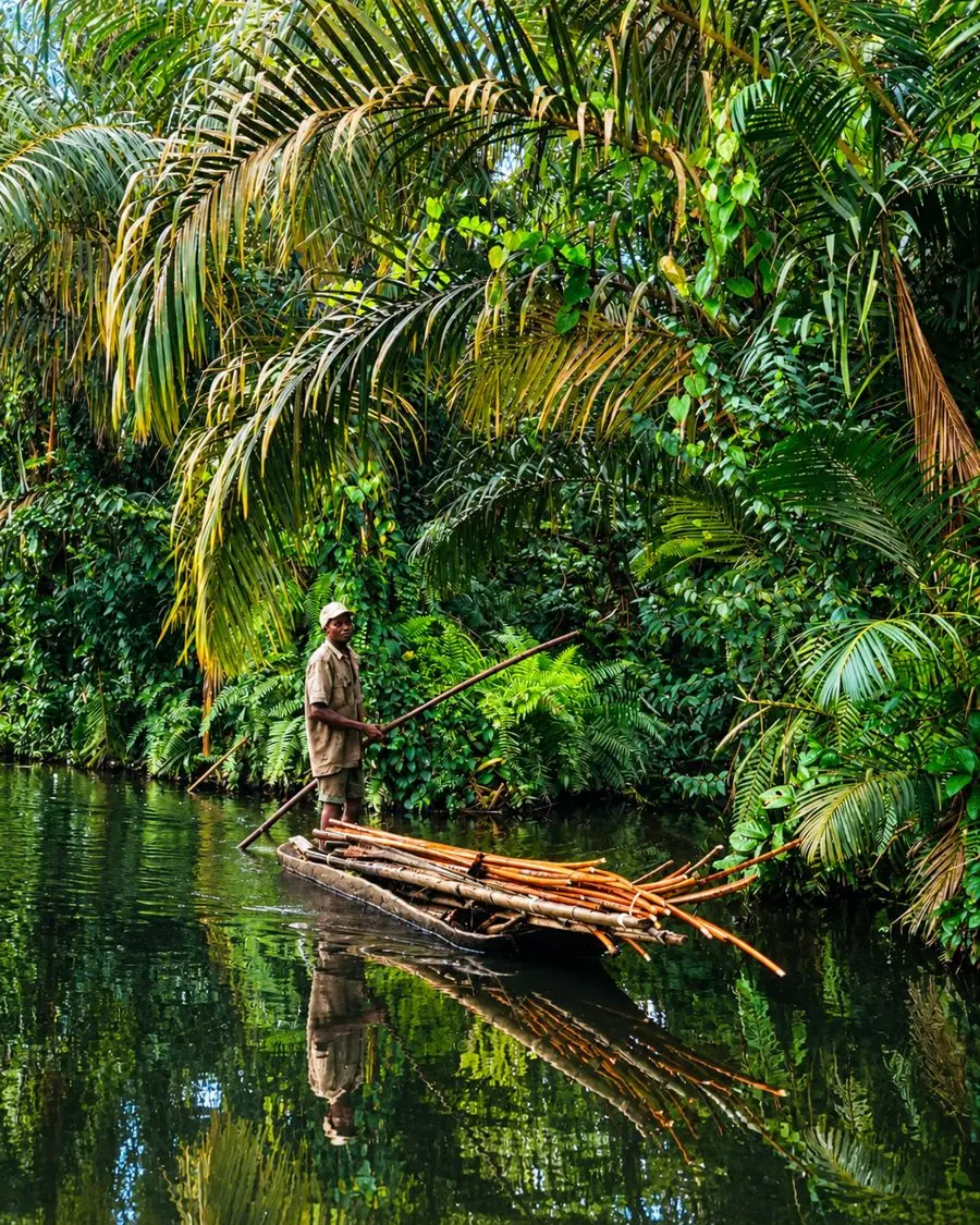 Piroguier debout sur une pirogue chargée de tiges de bambou, sous la végétation tropicale de la Rivière Noire d’Adjarra.