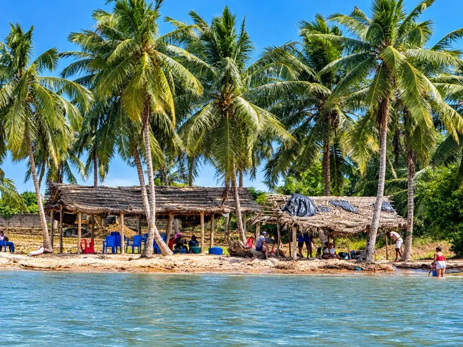 Plage bordée de cocotiers avec des paillotes et des visiteurs au bord de l’eau à Grand-Popo au Bénin.